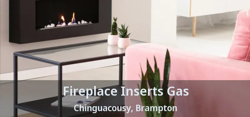 Fireplace Inserts Gas Chinguacousy, Brampton - ON Fireplace Inserts Gas Chinguacousy, Brampton - ON