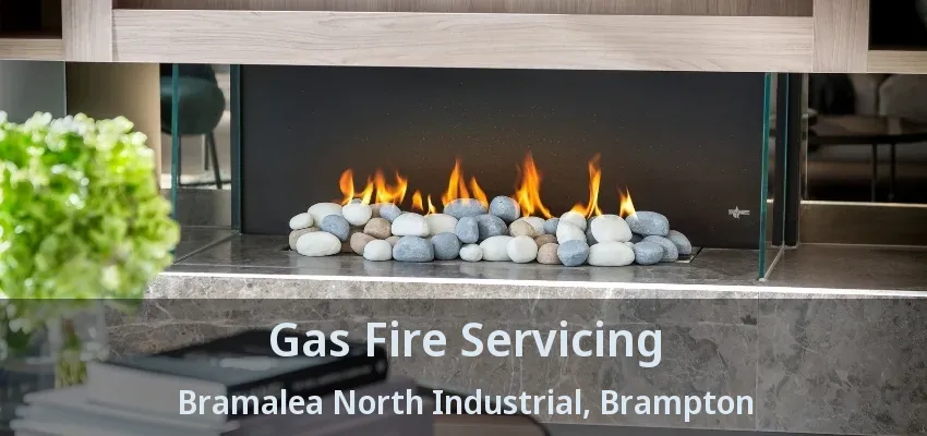 Gas Fire Servicing Bramalea North Industrial, Brampton - ON Gas Fire Servicing Bramalea North Industrial, Brampton - ON
