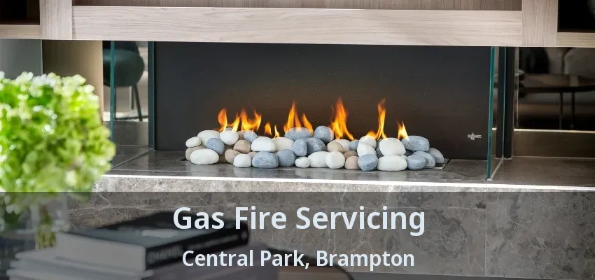 Gas Fire Servicing Central Park, Brampton - ON Gas Fire Servicing Central Park, Brampton - ON