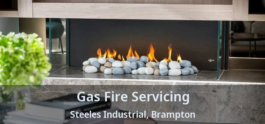 Gas Fire Servicing Steeles Industrial, Brampton - ON