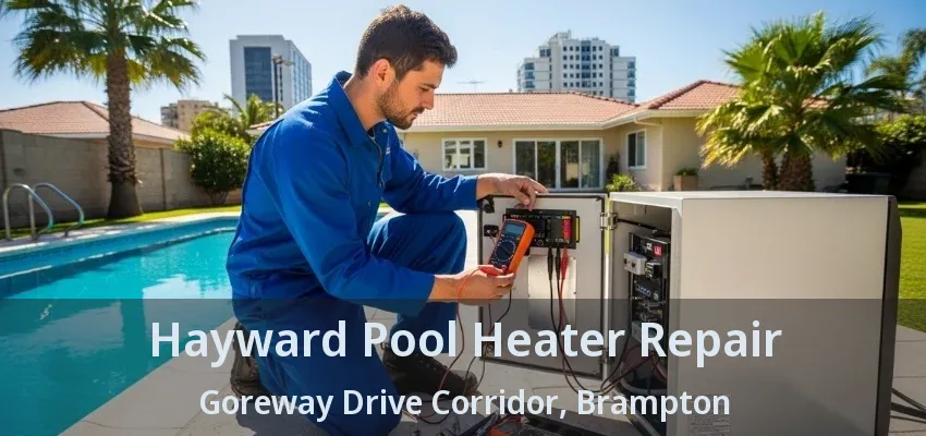 Hayward Pool Heater Repair Goreway Drive Corridor, Brampton - ON Hayward Pool Heater Repair Goreway Drive Corridor, Brampton - ON