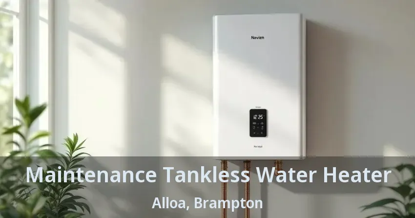 Maintenance Tankless Water Heater Alloa, Brampton - ON Maintenance Tankless Water Heater Alloa, Brampton - ON