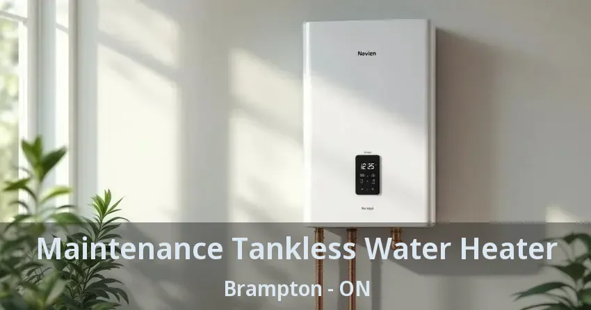 Maintenance Tankless Water Heater Brampton - ON Maintenance Tankless Water Heater Brampton - ON
