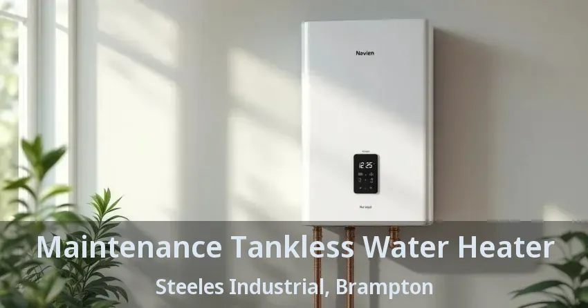Maintenance Tankless Water Heater Steeles Industrial, Brampton - ON Maintenance Tankless Water Heater Steeles Industrial, Brampton - ON