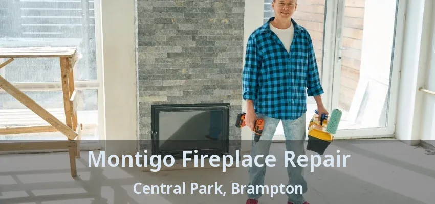 Montigo Fireplace Repair Central Park, Brampton - ON Montigo Fireplace Repair Central Park, Brampton - ON