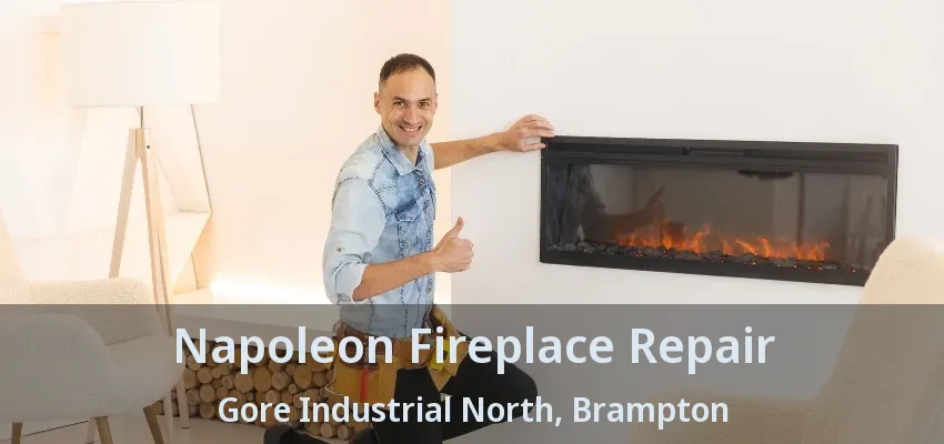Napoleon Fireplace Repair Gore Industrial North, Brampton - ON Napoleon Fireplace Repair Gore Industrial North, Brampton - ON