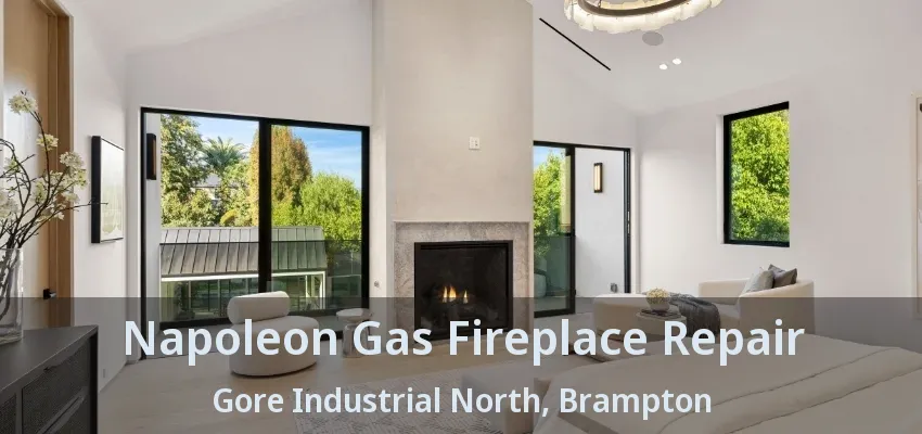 Napoleon Gas Fireplace Repair Gore Industrial North, Brampton - ON Napoleon Gas Fireplace Repair Gore Industrial North, Brampton - ON