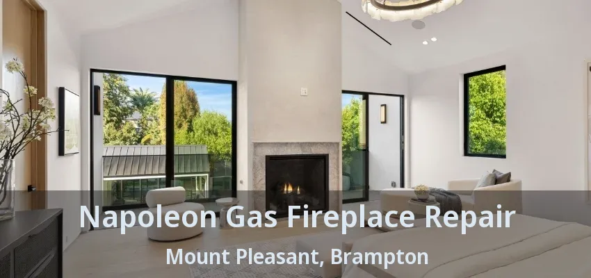 Napoleon Gas Fireplace Repair Mount Pleasant, Brampton - ON Napoleon Gas Fireplace Repair Mount Pleasant, Brampton - ON