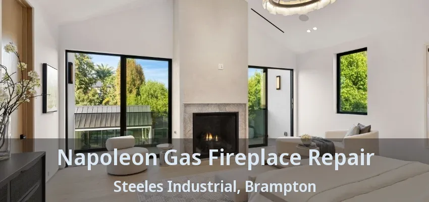 Napoleon Gas Fireplace Repair Steeles Industrial, Brampton - ON Napoleon Gas Fireplace Repair Steeles Industrial, Brampton - ON