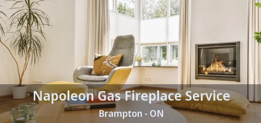 Napoleon Gas Fireplace Service Brampton - ON Napoleon Gas Fireplace Service Brampton - ON