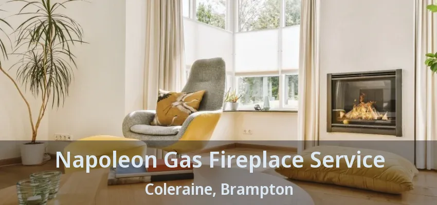 Napoleon Gas Fireplace Service Coleraine, Brampton - ON Napoleon Gas Fireplace Service Coleraine, Brampton - ON