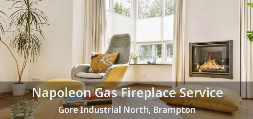 Napoleon Gas Fireplace Service Gore Industrial North, Brampton - ON Napoleon Gas Fireplace Service Gore Industrial North, Brampton - ON