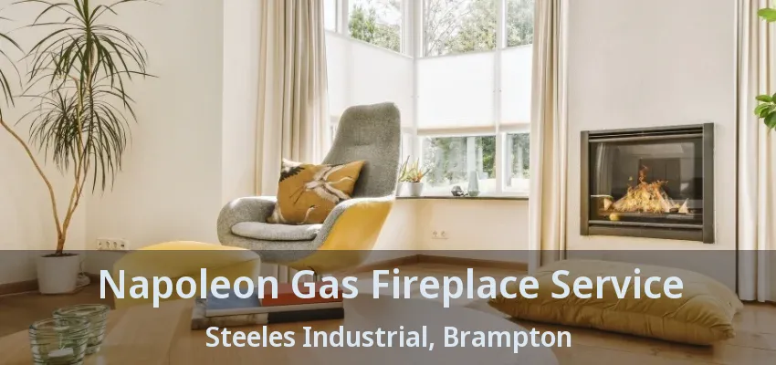 Napoleon Gas Fireplace Service Steeles Industrial, Brampton - ON Napoleon Gas Fireplace Service Steeles Industrial, Brampton - ON