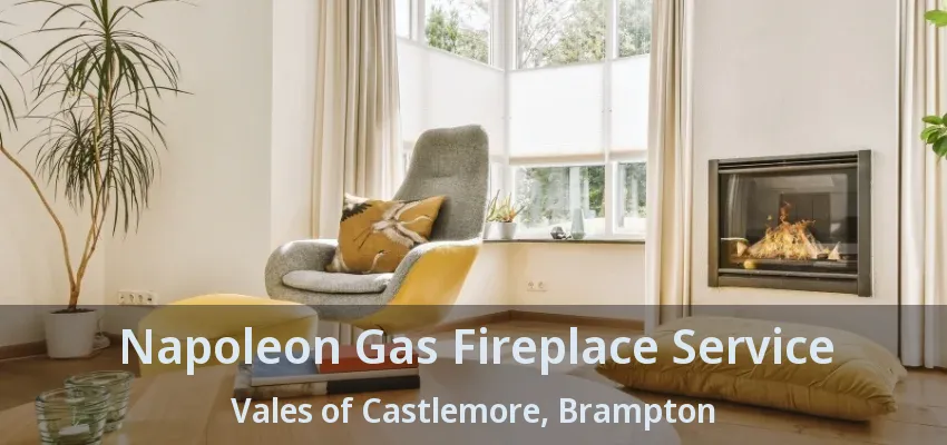 Napoleon Gas Fireplace Service Vales of Castlemore, Brampton - ON Napoleon Gas Fireplace Service Vales of Castlemore, Brampton - ON