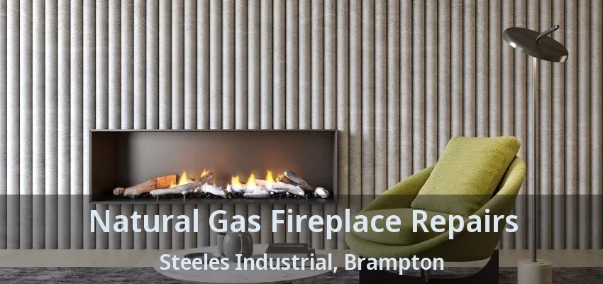 Natural Gas Fireplace Repairs Steeles Industrial, Brampton - ON