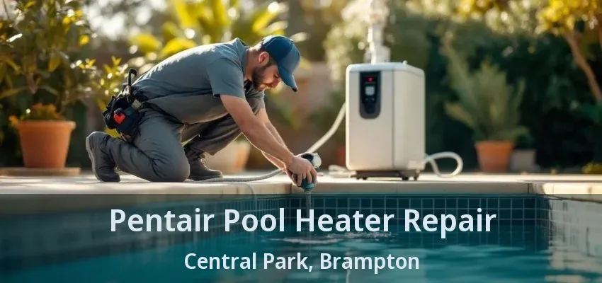 Pentair Pool Heater Repair Central Park, Brampton - ON Pentair Pool Heater Repair Central Park, Brampton - ON