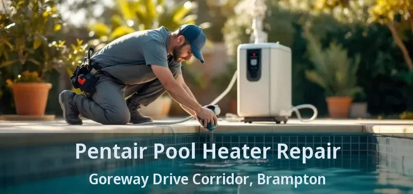 Pentair Pool Heater Repair Goreway Drive Corridor, Brampton - ON Pentair Pool Heater Repair Goreway Drive Corridor, Brampton - ON