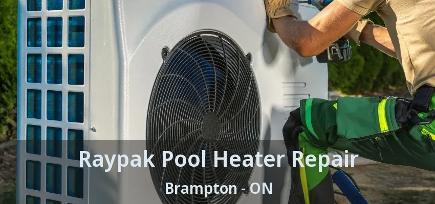 Raypak Pool Heater Repair Brampton - ON Raypak Pool Heater Repair Brampton - ON