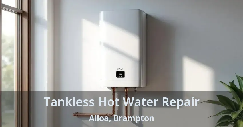 Tankless Hot Water Repair Alloa, Brampton - ON Tankless Hot Water Repair Alloa, Brampton - ON