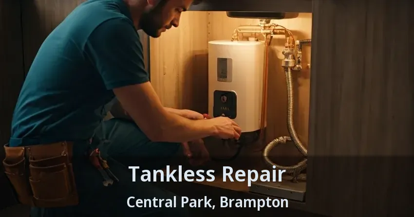 Tankless Repair Central Park, Brampton - ON Tankless Repair Central Park, Brampton - ON