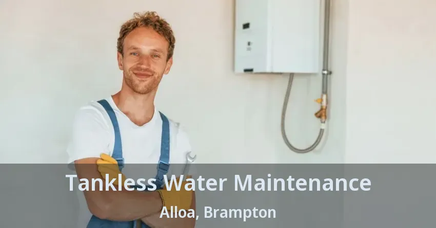 Tankless Water Maintenance Alloa, Brampton - ON Tankless Water Maintenance Alloa, Brampton - ON