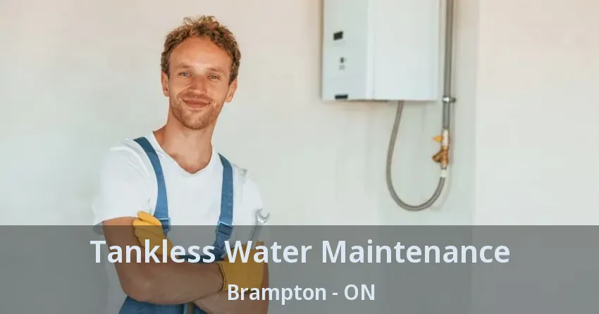 Tankless Water Maintenance Brampton - ON Tankless Water Maintenance Brampton - ON