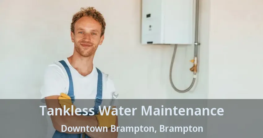 Tankless Water Maintenance Downtown Brampton, Brampton - ON Tankless Water Maintenance Downtown Brampton, Brampton - ON