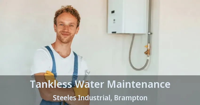 Tankless Water Maintenance Steeles Industrial, Brampton - ON