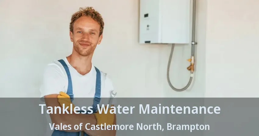 Tankless Water Maintenance Vales of Castlemore North, Brampton - ON Tankless Water Maintenance Vales of Castlemore North, Brampton - ON