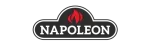 Napoleon Regency Gas Fireplace Repair in Brampton